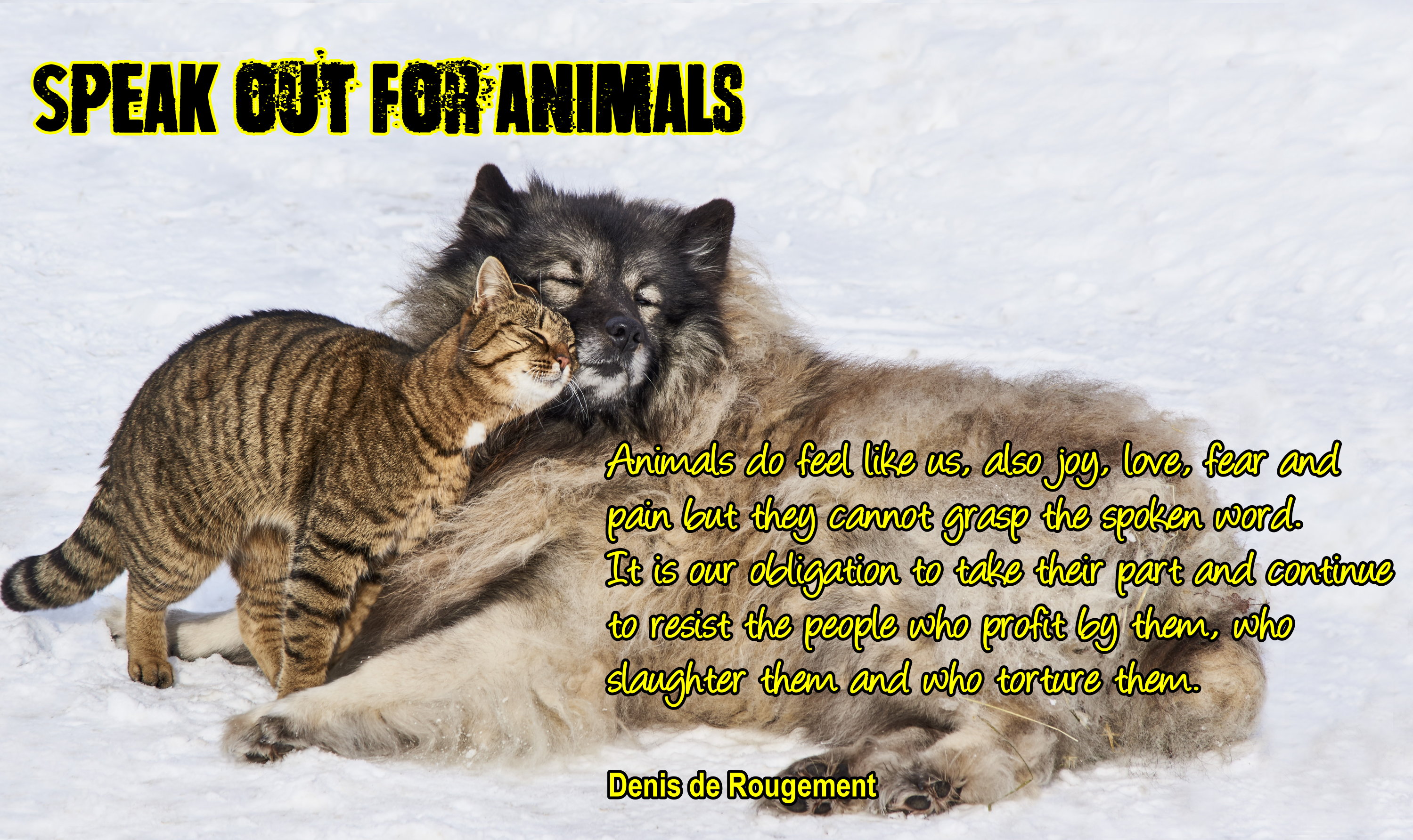 Quotations and Slogans: Animal Rights – Update two new graphics 22/01/20 |  Rantings From a Virtual Soapbox